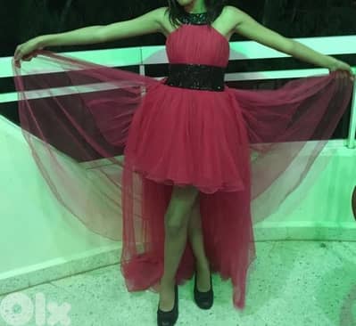 pink butterfly dress