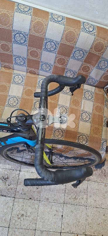 Giant Propel Advanced 1 2019 2