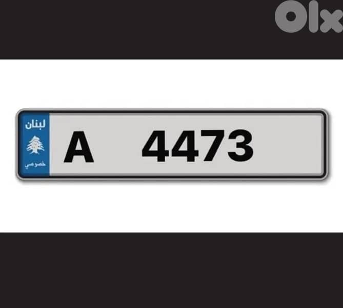 rare plate ———— A 4473 0
