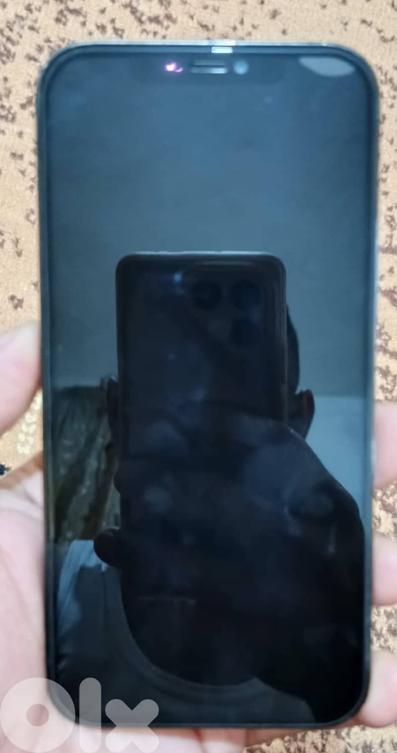 صيدا الفيلات 2