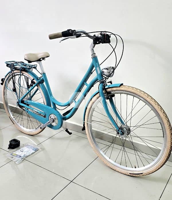 ctiy bike germany 1