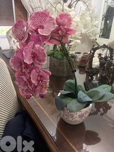 orchid decor fake