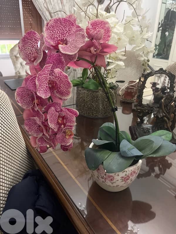 orchid decor fake 0