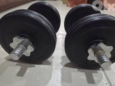 Dumbles 10kg pair