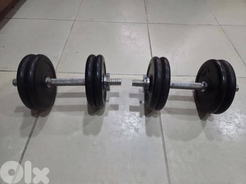 Dumbles 10kg pair 2
