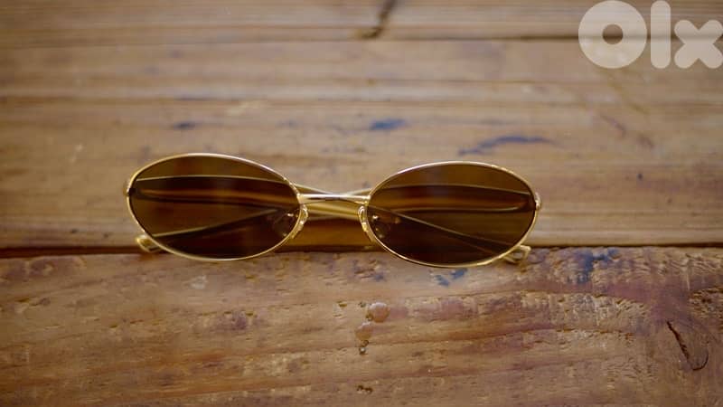 Bottega Veneta Sardine Oval Sunglasses 1