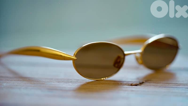 Bottega Veneta Sardine Oval Sunglasses 2