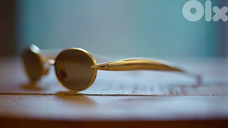 Bottega Veneta Sardine Oval Sunglasses 4