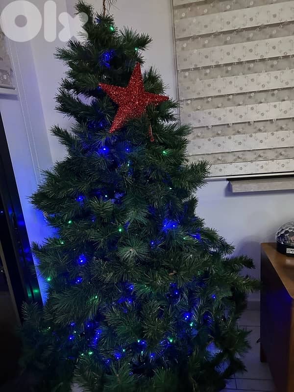 Christmas treee 0