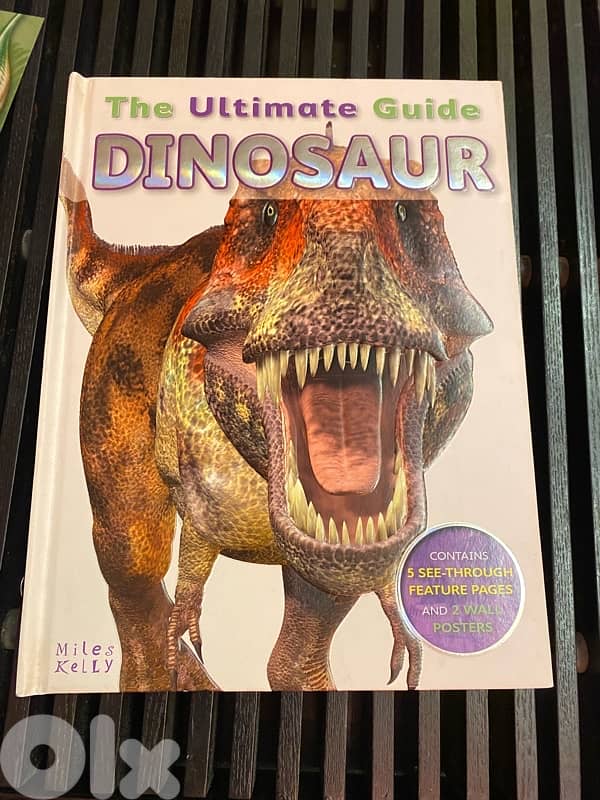 Dinosaur Book for kids 0