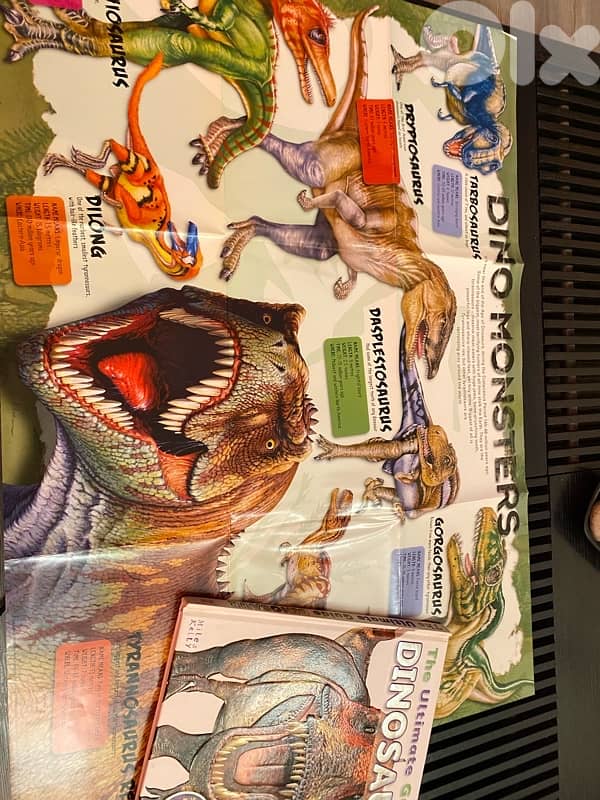 Dinosaur Book for kids 1