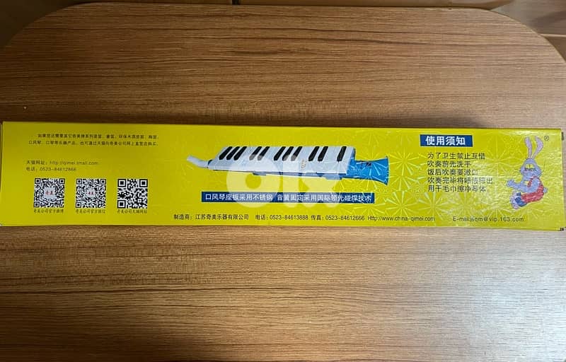 Beginner Flute Toy for Children 0