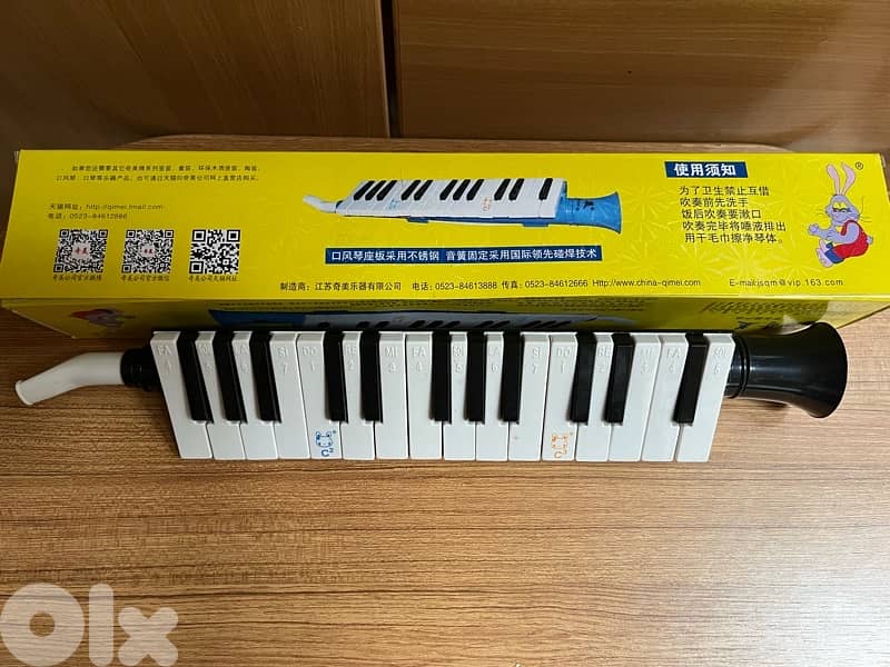 Beginner Flute Toy for Children 1