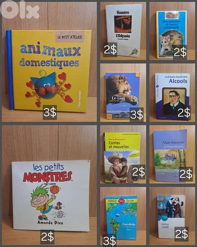 different books for sale, French Arabic English