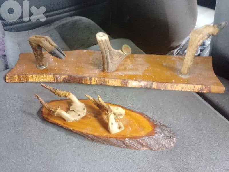 قرون وأجرين غزال على لوحة خشبية 1