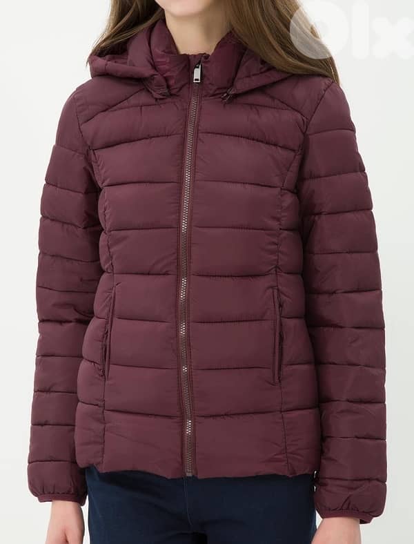 burgundy small jacket 0