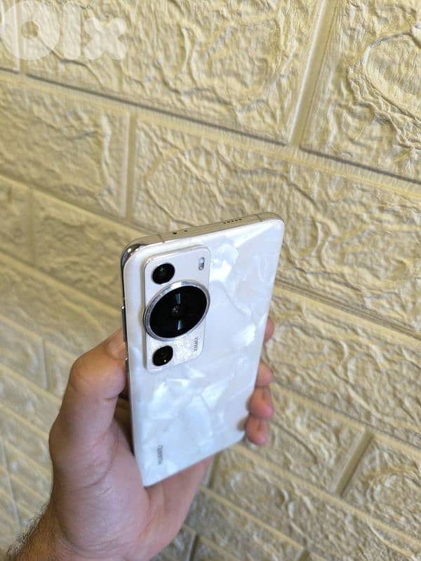 سعر محروق الله يهنئ صاحب النصيب 0