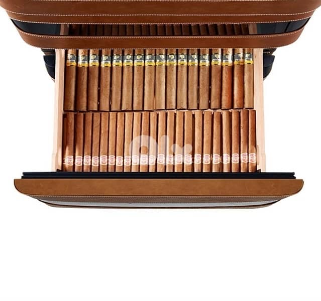 Campomatic Habana High End Hand Made Luxury 1200 Cigar Humidor 4