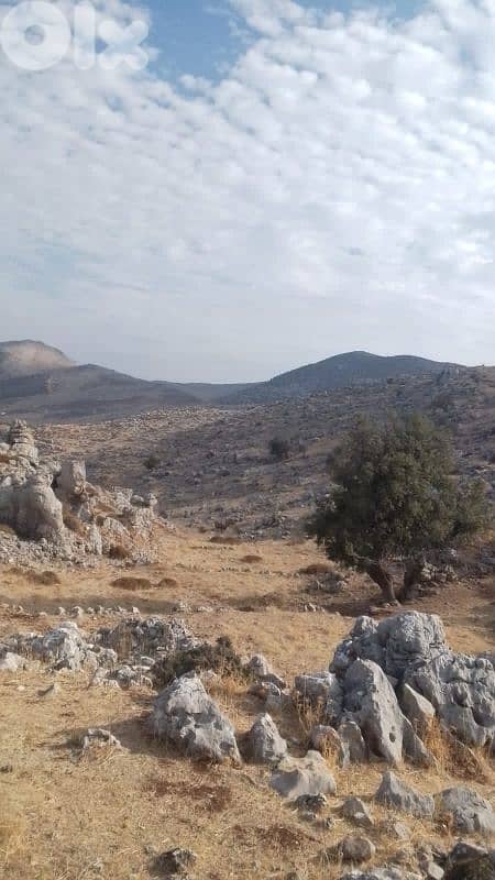 ارض للبيع في راشيا الوادي land for sale in rashaya 0
