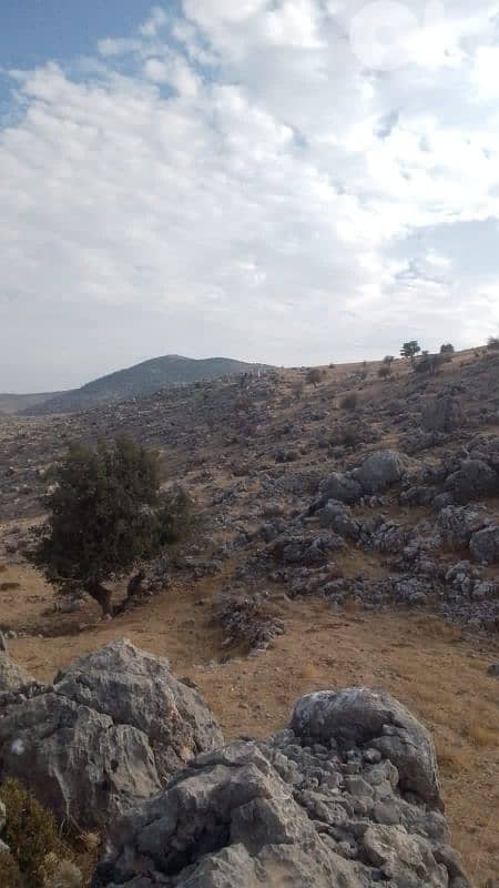 ارض للبيع في راشيا الوادي land for sale in rashaya 3