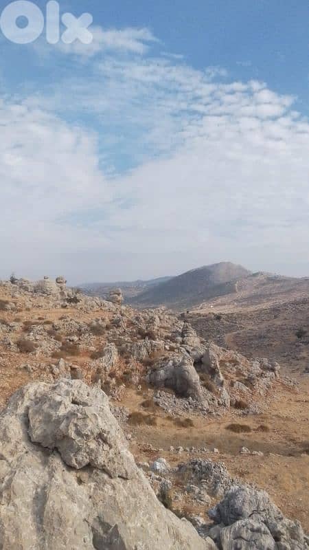 ارض للبيع في راشيا الوادي land for sale in rashaya 4