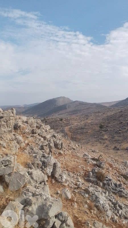 ارض للبيع في راشيا الوادي land for sale in rashaya 5