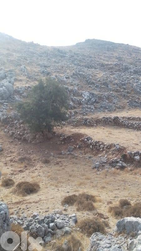 ارض للبيع في راشيا الوادي land for sale in rashaya 6