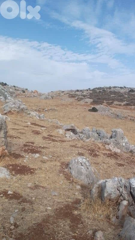 ارض للبيع في راشيا الوادي land for sale in rashaya 7