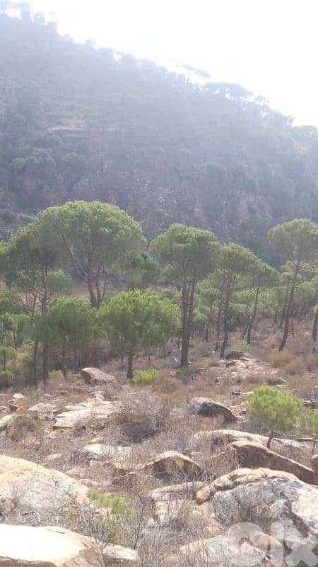 ارض للبيع في حاصبيا الكفير land for sale in hasbaya 0