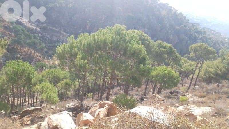 ارض للبيع في حاصبيا الكفير land for sale in hasbaya 1