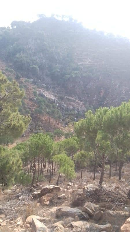 ارض للبيع في حاصبيا الكفير land for sale in hasbaya 6