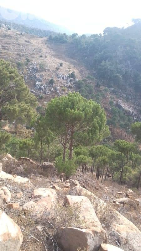 ارض للبيع في حاصبيا الكفير land for sale in hasbaya 7