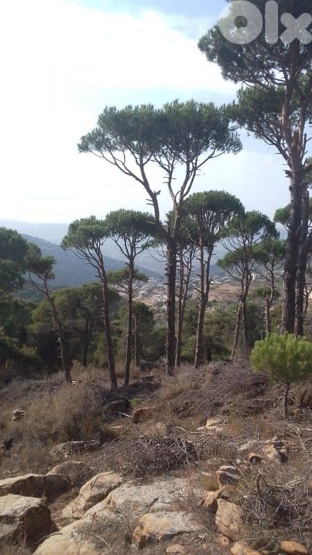 ارض للبيع في حاصبيا الكفير land for sale in hasbaya 8