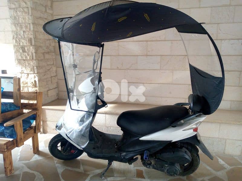 عاليه عين حالا 2