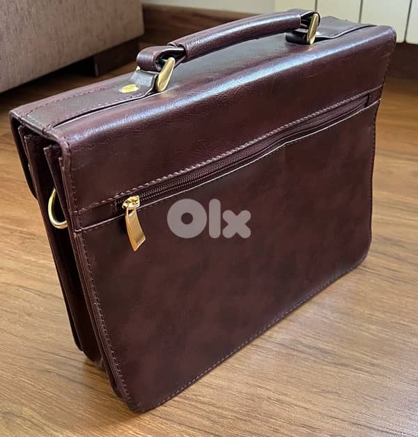 Case Leather Classic 1