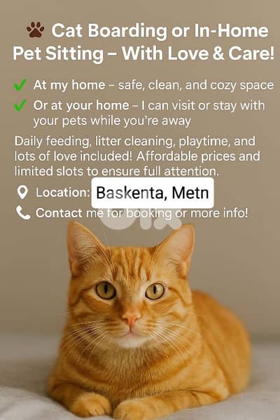 Professional Cat Boarding at My Home or In-Home Pet Sitting