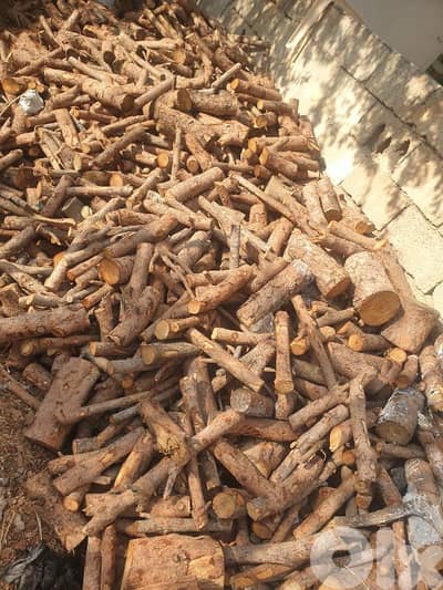 حطب صنوبر يابس