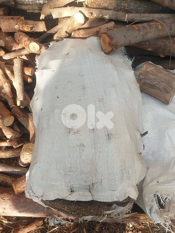 حطب صنوبر يابس 1