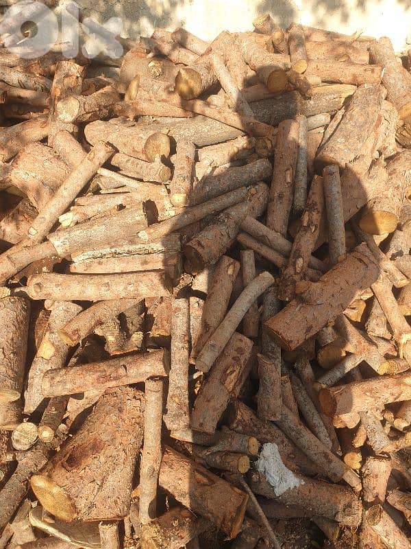 حطب صنوبر يابس 2