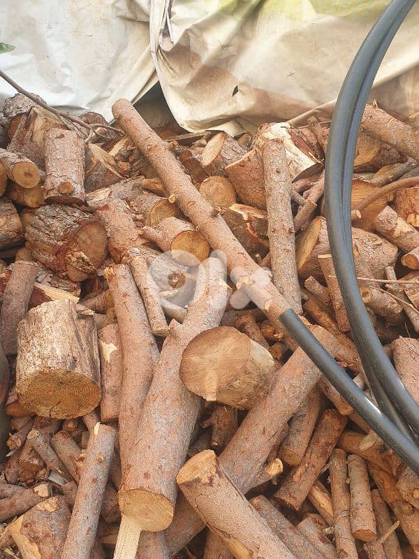 حطب صنوبر يابس 3