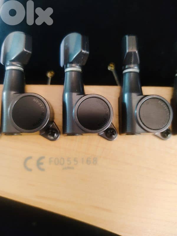 Ibanez RG3120 with hardcase 2