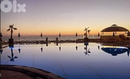 All-season resort studios starting 175$ / month