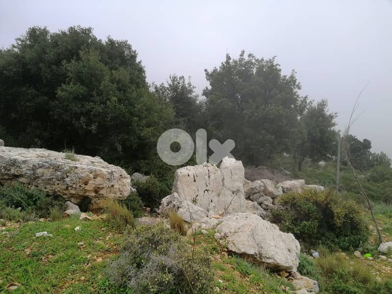 Land For Sale In Blat | Unblockable Sea View | أرض للبيع | PLS 26412 4