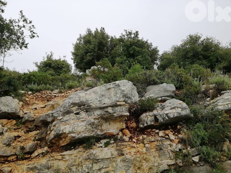 Land For Sale In Blat | Unblockable Sea View | أرض للبيع | PLS 26412 6