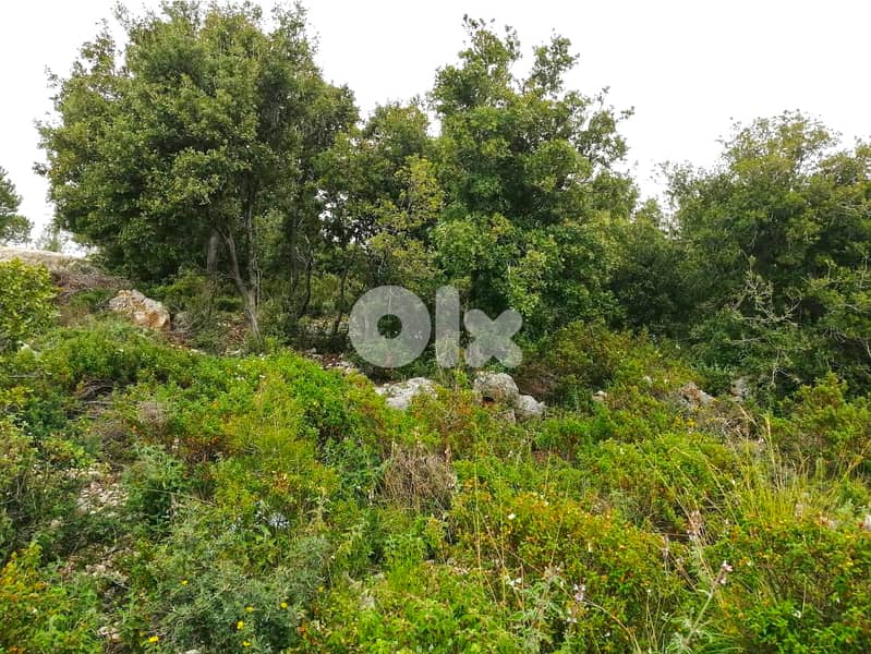 Land For Sale In Blat | Unblockable Sea View | أرض للبيع | PLS 26412 7