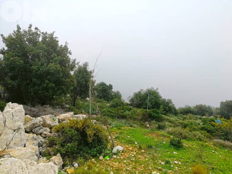 Land For Sale In Blat | Unblockable Sea View | أرض للبيع | PLS 26412 9