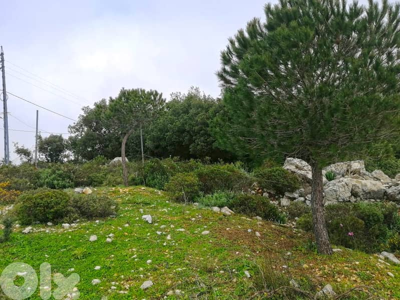 Land For Sale In Blat | Unblockable Sea View | أرض للبيع | PLS 26412 10