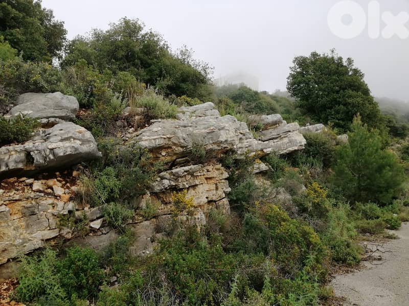 Land For Sale In Blat | Unblockable Sea View | أرض للبيع | PLS 26412 12