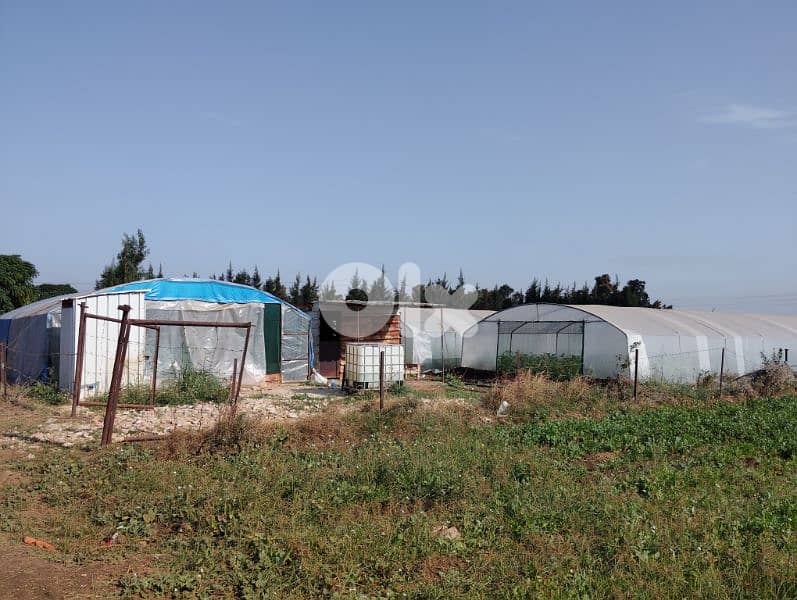 بيوت بلاستيكية زراعية 0