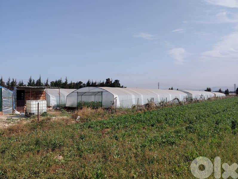 بيوت بلاستيكية زراعية 1